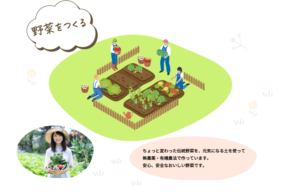 野菜をつくる　ちょっと変わった伝統野菜を、元気になる土を使って無農薬・有機農法で作っています。安心、安全なおいしい野菜です。